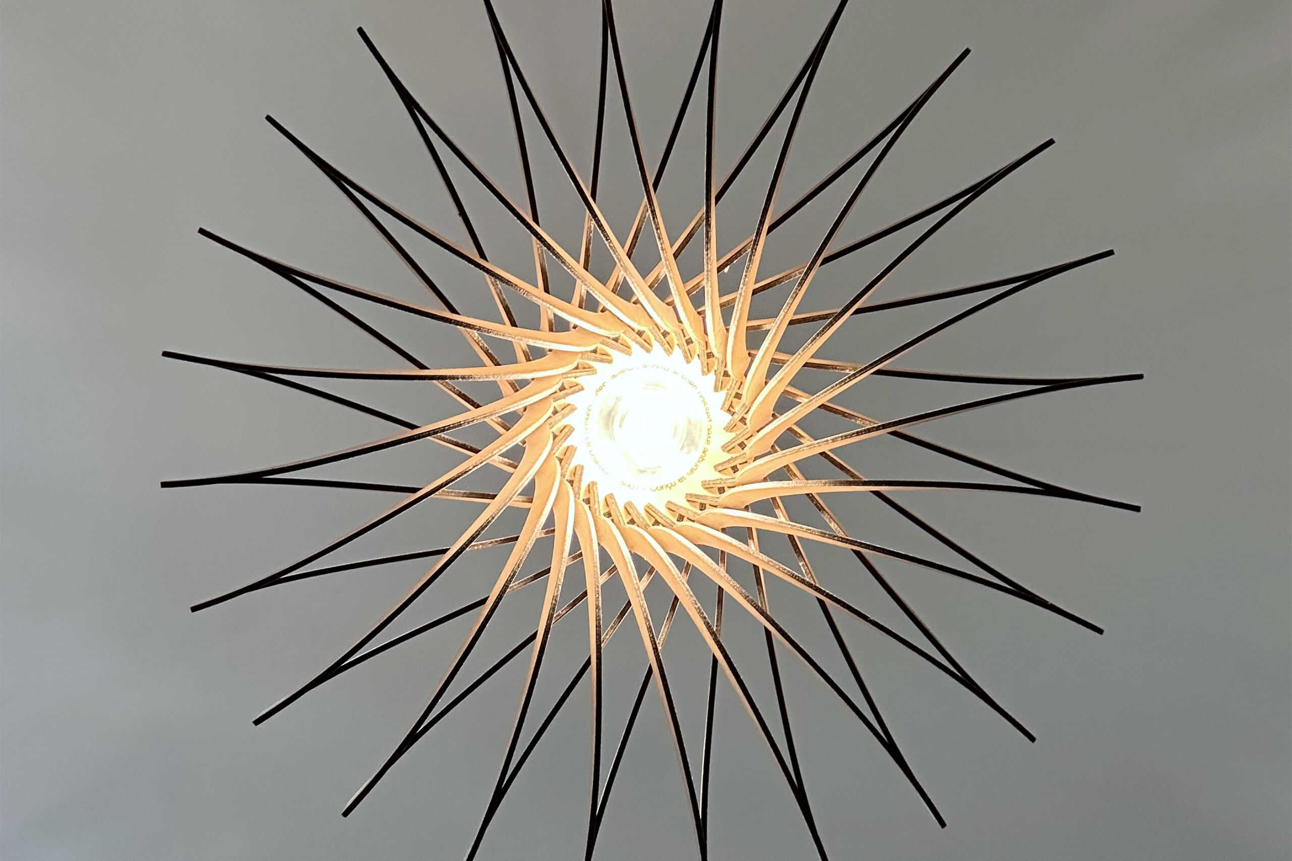 Gaston Le chardon - photo 7