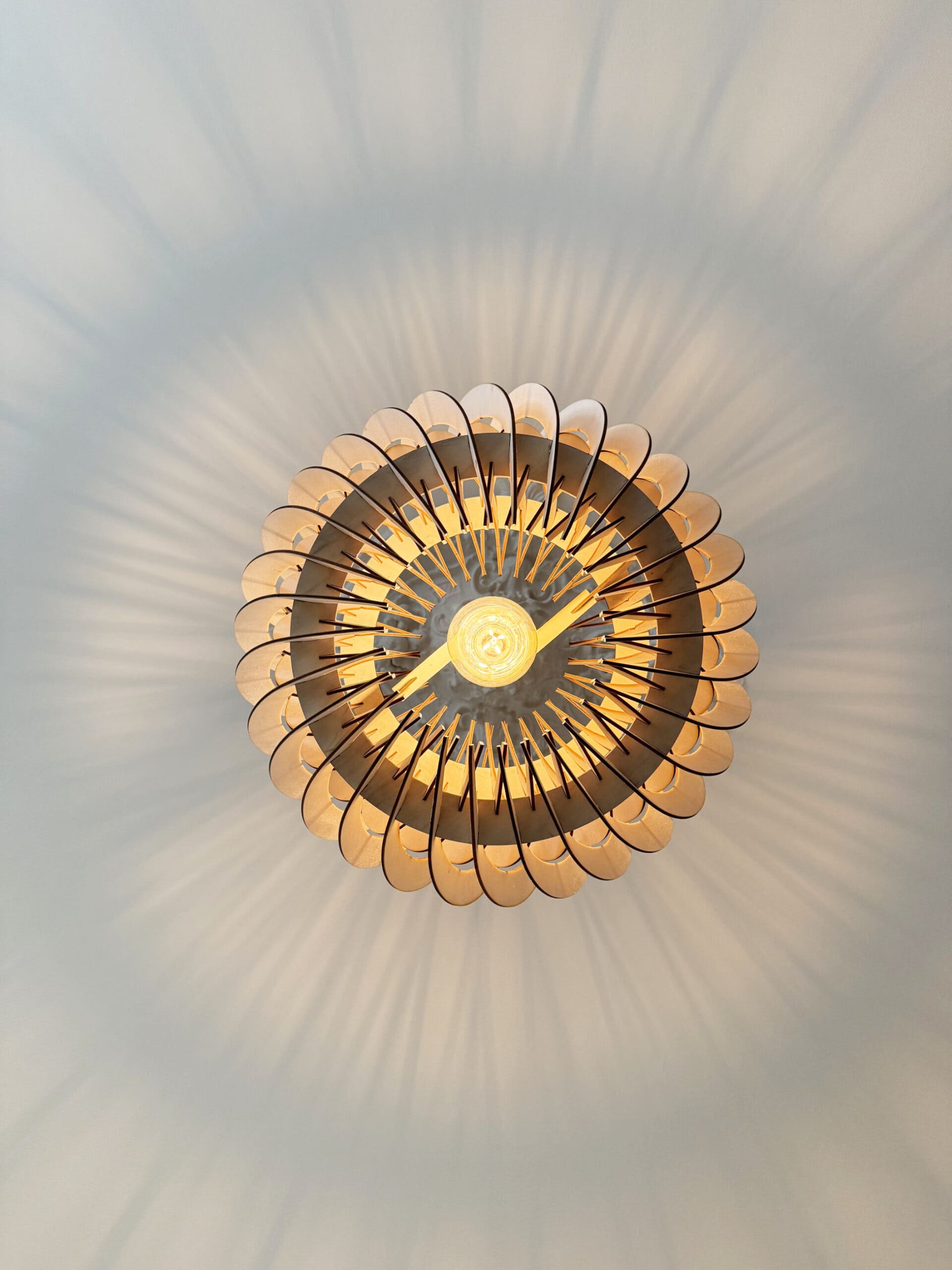 Alban Le virevoltant - photo 6