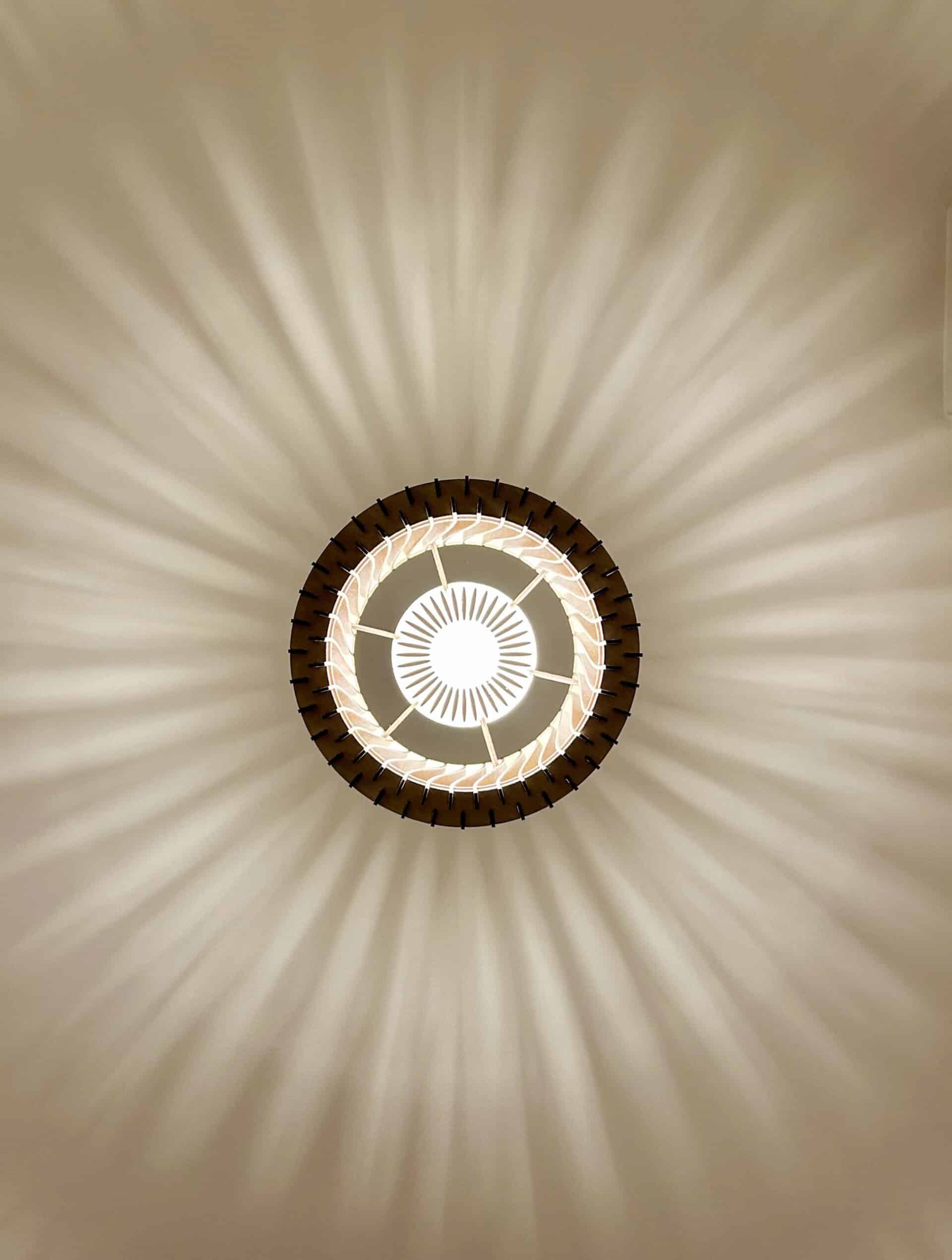 Vincent L&rsquo;incandescent - photo 6