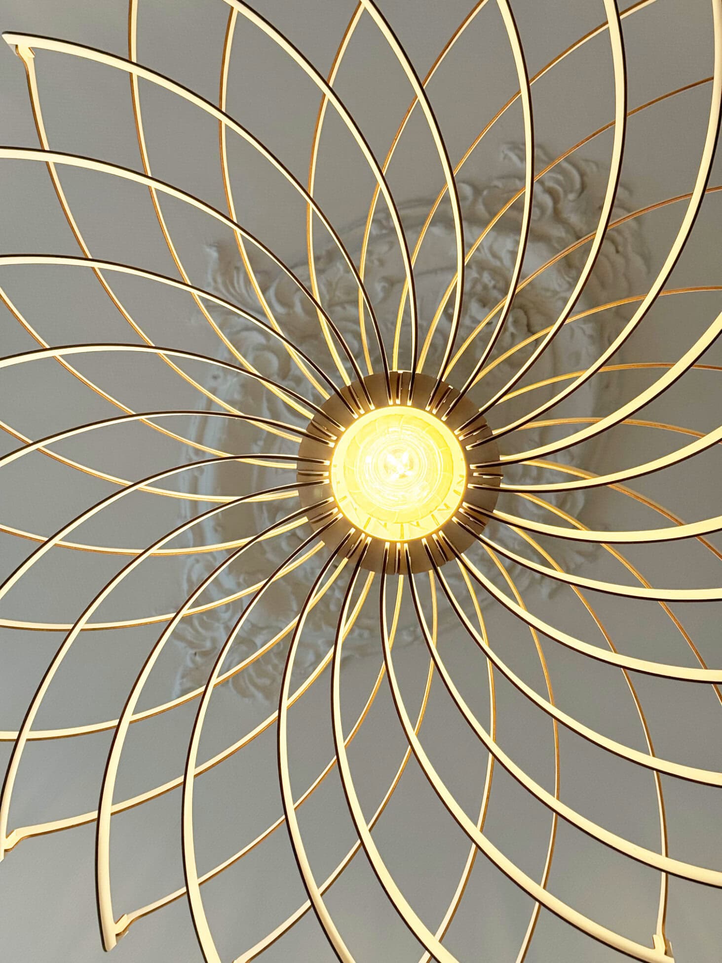 Olivia La gardiena - photo 7