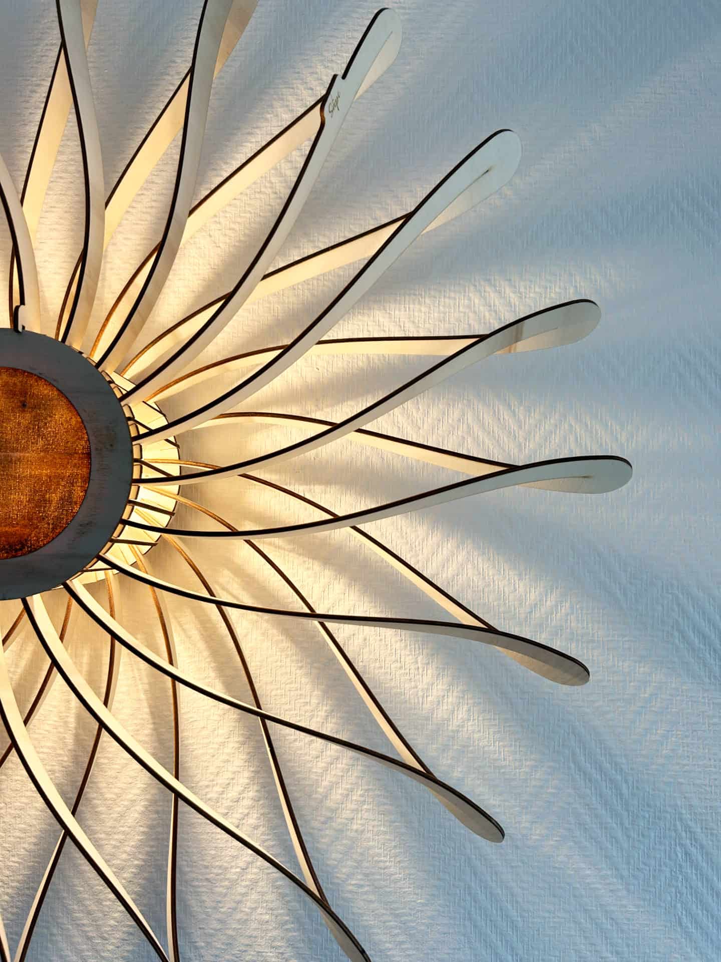 Dalida Le dahlia - photo 7