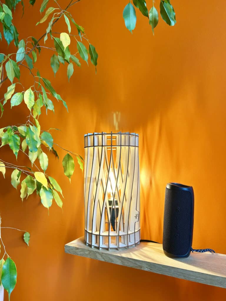 Vincent L&rsquo;incandescent