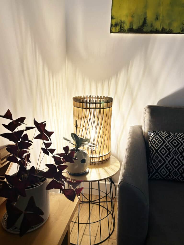 Vincent L&rsquo;incandescent