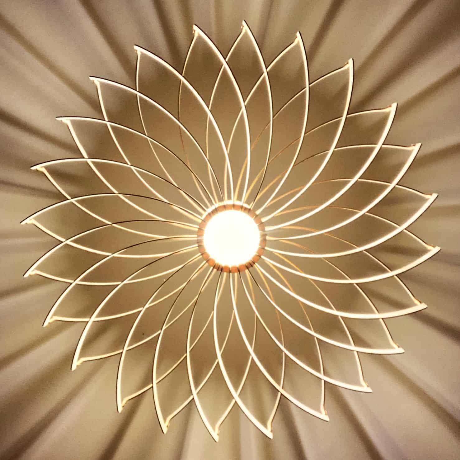 Olivia La gardiena - photo 9