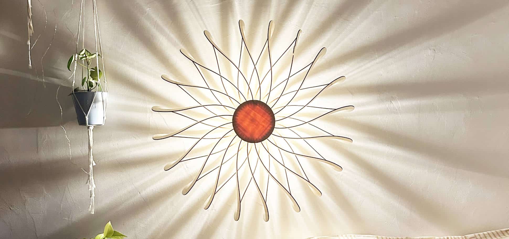 Dalida Le dahlia - photo 1