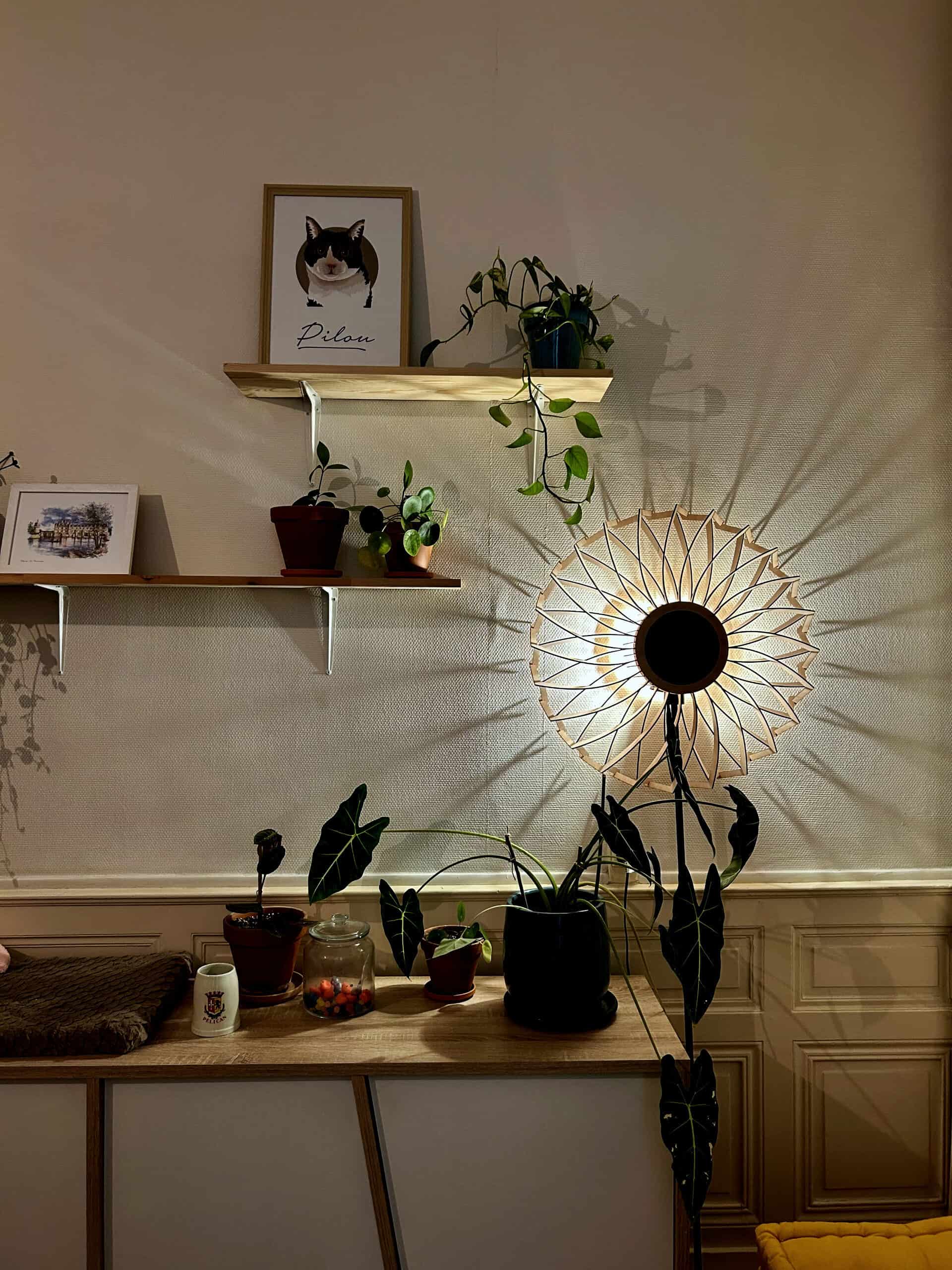 Charlie Le pissenlit - photo 6