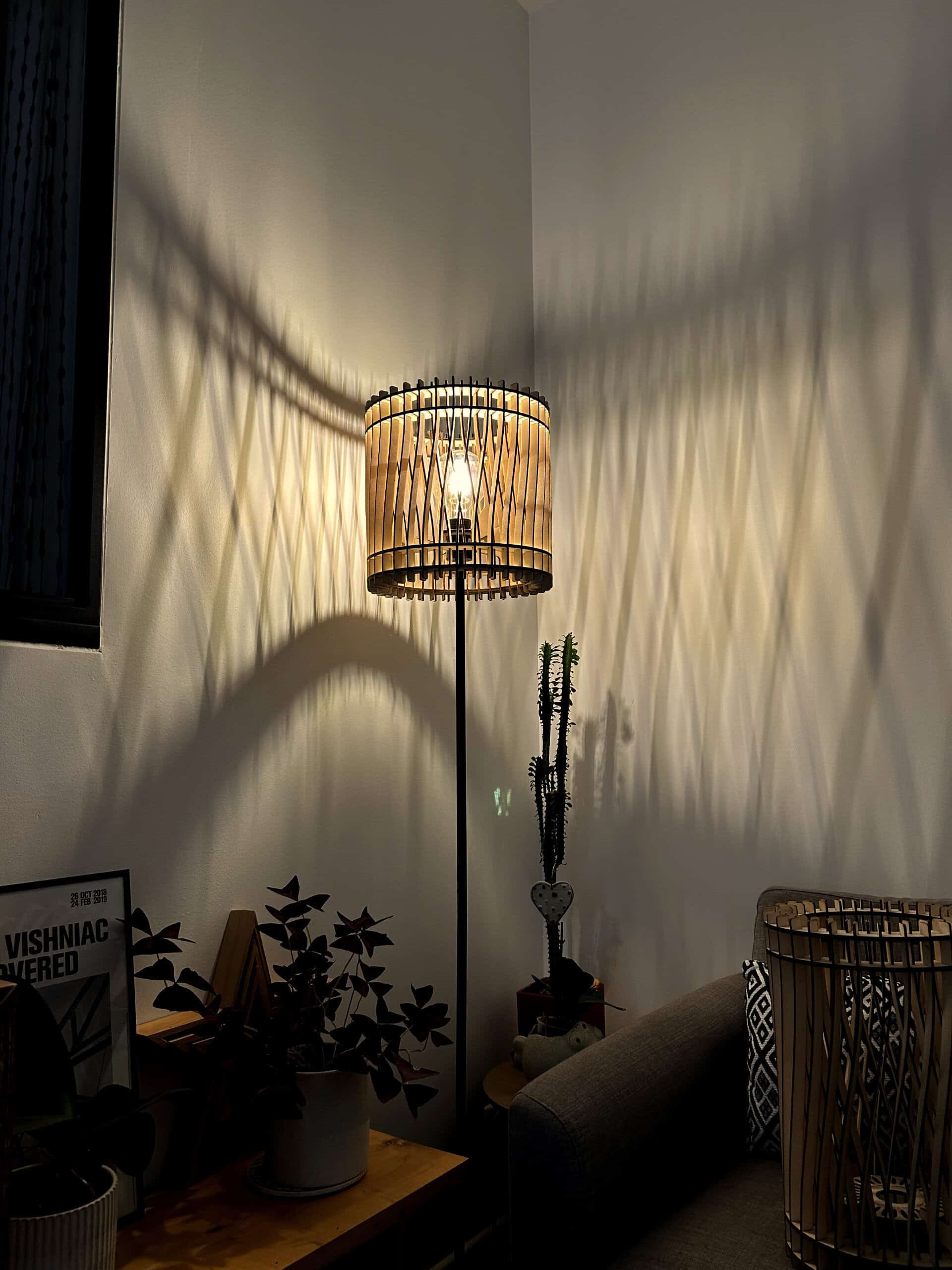 Vincent L&rsquo;incandescent - photo 4