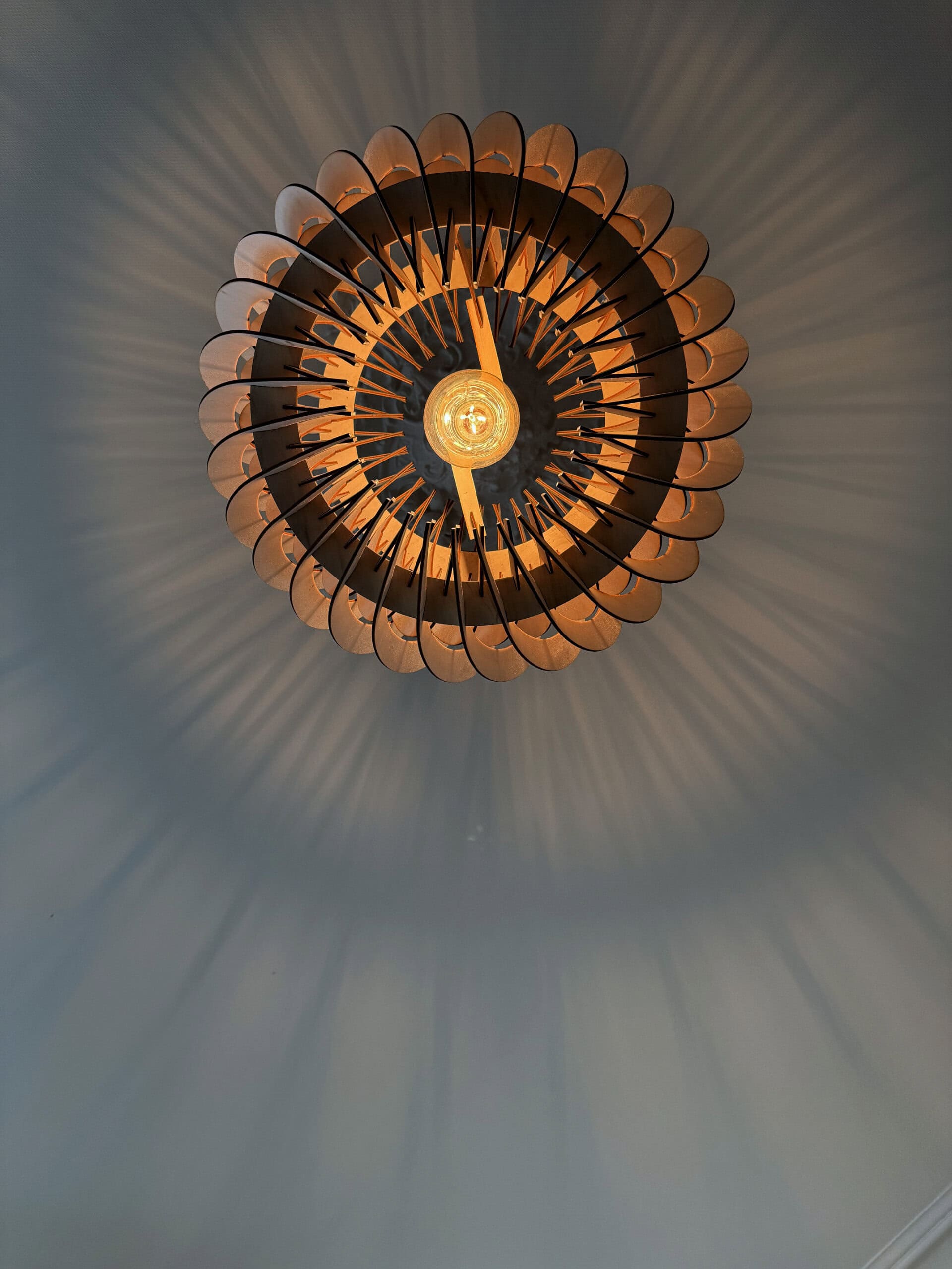 Alban Le virevoltant - photo 7