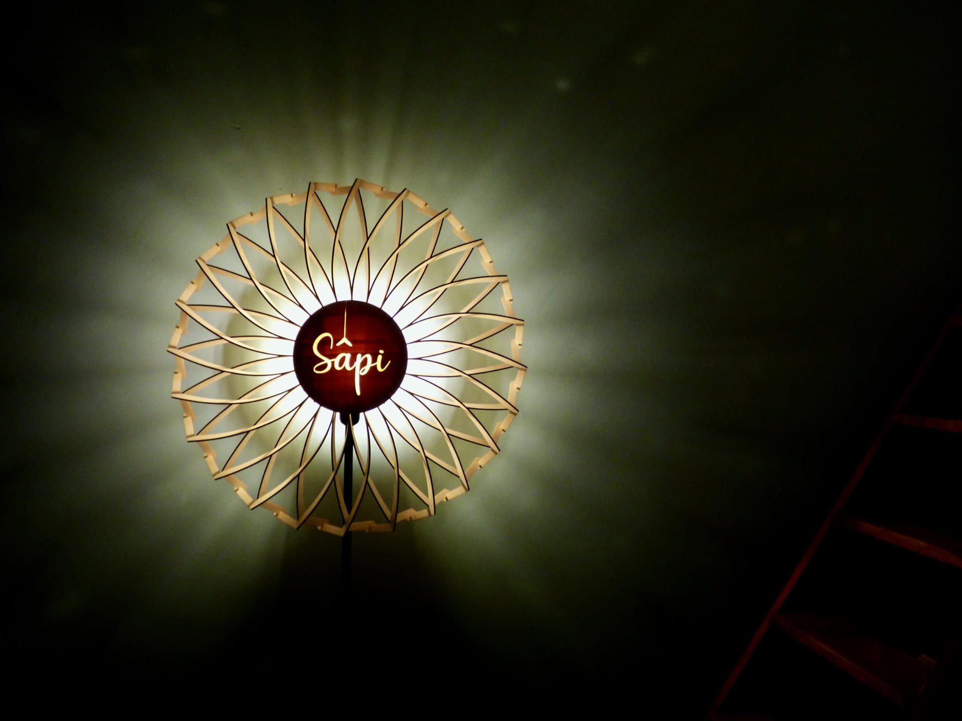 Charlie Le pissenlit - photo 4